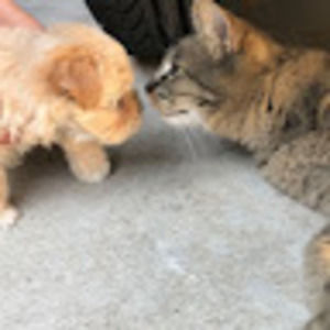 Meet your Posher, Joanne